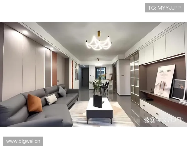 拉文这衣柜，比我家客厅还贵？