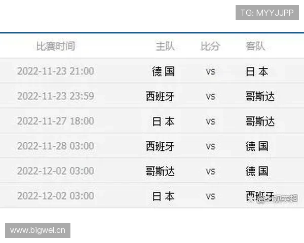 世界杯E组出线热门排行榜